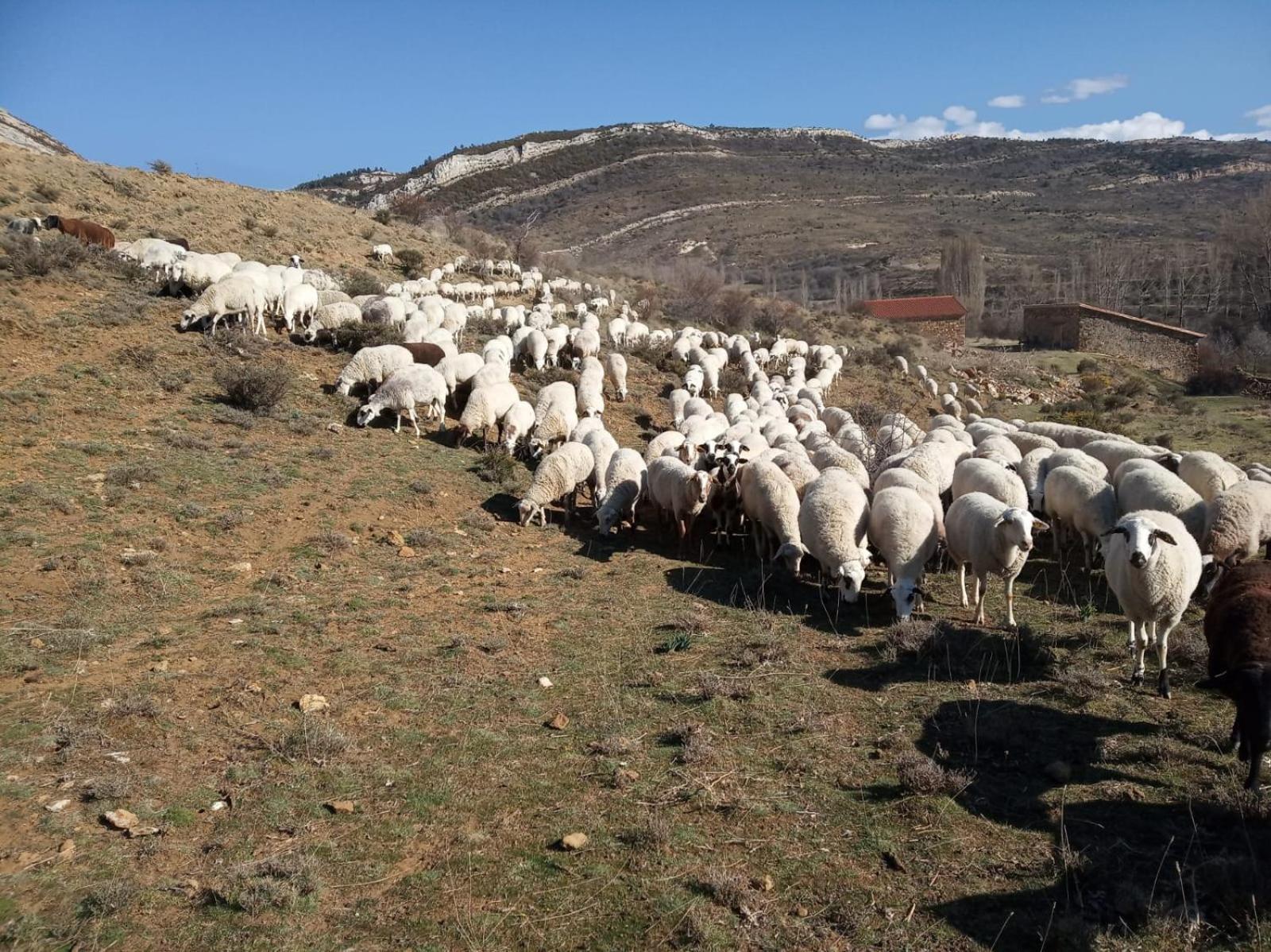 Casa Rural Chulilla Villarroya de los Pinares ภายนอก รูปภาพ